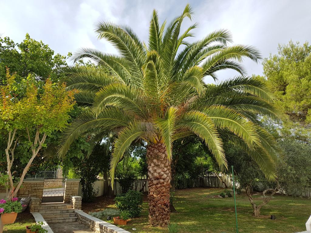 Villa Rosa With Yard And Children'S Playground Tar-Vabriga Kültér fotó