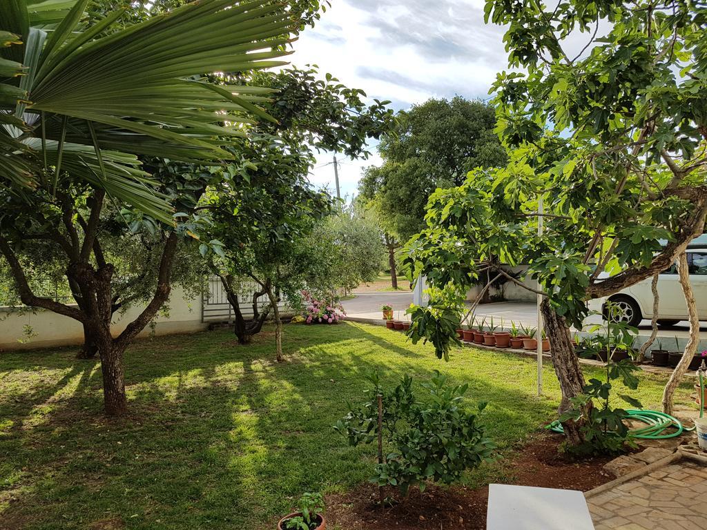 Villa Rosa With Yard And Children'S Playground Tar-Vabriga Kültér fotó