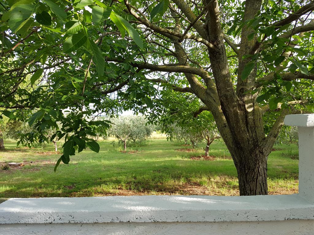 Villa Rosa With Yard And Children'S Playground Tar-Vabriga Kültér fotó