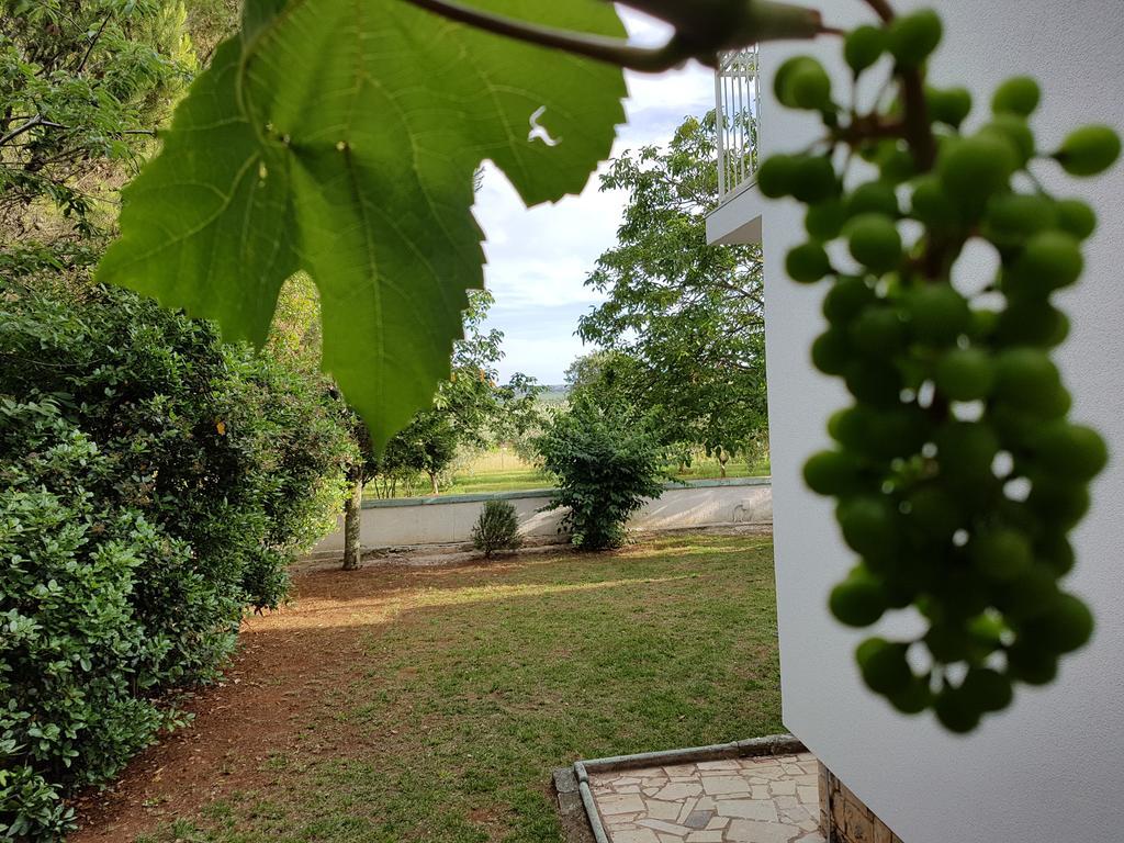 Villa Rosa With Yard And Children'S Playground Tar-Vabriga Kültér fotó